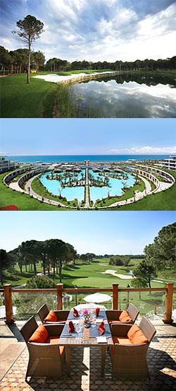 The Montgomerie Maxx Royal Ready to Shine On the Global Stage